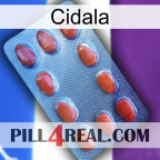 Cidala 06